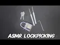 ASMR Lockpicking Covert Instruments FNG Lockpicking Set No Talking Satisfying ASMR Sounds
