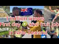 Download Lagu First day of work in New Zealand 🇳🇿 || kiwifruit picking 🥝🥝 || kabaddi player