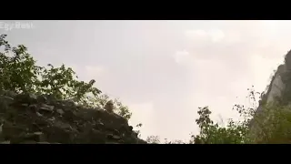 انا طول اليوم مهموم من اللي جوايا   بهاء سلطان دندنها