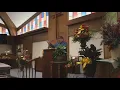 Ardis Proctor Service