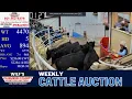 Arkansas Cattle Auction LIVE Heber Springs Cow Calf Feeder Sale Dec 1 2025