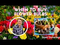 When Garden Centers Stock Bulbs - Are You Ready
