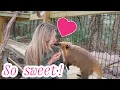 Why Coatimundis make GREAT pets We changed our minds