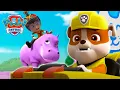 Download Lagu ¡Danny X hace una acrobacia loca con un hipopótamo bebé!! | PAW Patrol | Episodio Español