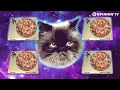 Spacecats - Ummet Ozcan
