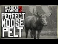 HOW TO GET A PERFECT MOOSE PELT - RED DEAD REDEMPTION 2 PRISTINE MOOSE HUNT
