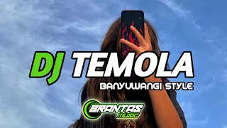 Download DJ TEMOLA SLOW BASS X BANYUWANGI STYLE | BRANTAS MUSIC MP3