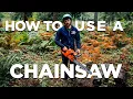 Download Lagu WORLDS BEST CHAINSAW TUTORIAL! EVERYTHING You Need to Know About Owning and Operating a Chainsaw!