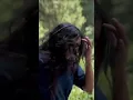 Download Lagu Mujhse jayada mast aadmi es duniya mein koi nahi