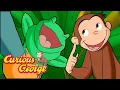 Download Lagu What Sounds Do Animals Make? 🐵 Full Episodes | Curious George