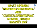 What options ServerAliveInterval and ClientAliveInterval in ss - config exactly do