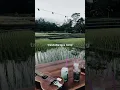 Download Lagu Trimo ngaleh ngempet perih tak angkat gendero puteh aku nyerah lambaikan tangan dada sayang