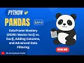 Pandas DataFrame Mastery Master loc vs iloc Adding Columns and Advanced Data Filtering