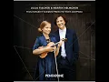 Violin Sonata (Sonatina) in D Major, Op. 137 No. 1, D. 384: I. Allegro molto
