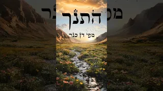 THE HEBREW BIBLE AUDIO BOOK SONG OF SONGS 4 