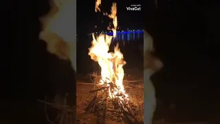 حالة واتس وردة 