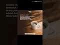 Download Lagu Via vallen_sakit sakit hatiku.