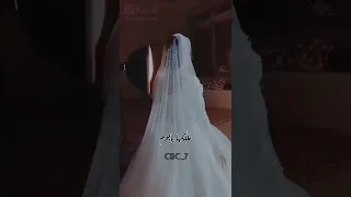وين الله ويكولون طلكها يا يوم اخذها والعباس لو عمري بس يوم 