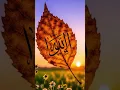 Download Lagu Semoga lantunan ayat suci ini menjadikan hati dan pengingat untuk selalu berlindung kepada Allah.