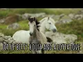We Didn't Have Much | Justin Moore ( Lyrics & Scenery)