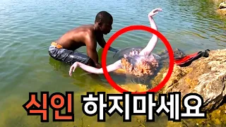 사람을 먹으면 안되는 '진짜 이유'