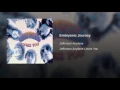 Embryonic Journey