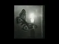 Download Lagu 01. LB - BUTTERFLY EFFECT 2 (Prod by DEXTAH)
