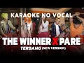 Download Lagu THE WINNER ❌ PARE - TERBANG (KARAOKE NO VOCAL)