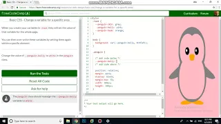 Basic CSS Change a variable for a specific area free code camp Dani
