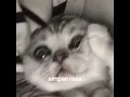 Download Lagu vadel nasir - simpan rasa (sped up + tiktok version)