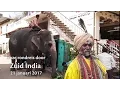 Download Lagu Onze 21-daagse rondreis door Zuid India compleet   Deel 1 van 3 2017  South of India trip