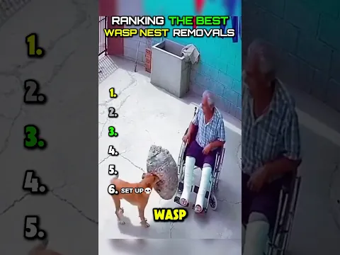 DON’T CHECK THE SOUND 😭😭