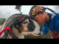 Download Lagu Si Bolang Domba Garut || Anak, Cucu Sampai Buyut Sekeluarga Pecinta Domba Garut