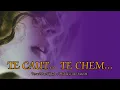Download Lagu ,,Te caut... Te chem...\