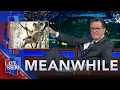 Download Lagu Meanwhile… Koala Chlamydia | Forever Chemicals In Beer | Fish Sex