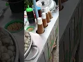 Download Lagu cilok bumbu kacang ala pasar malam