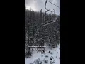 Intermediate Womens Snowboard Reviews