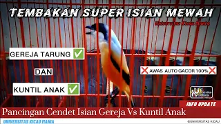 removing mental and cendet material with filling church fighting vs child quotes