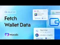Get Cross-Chain Crypto Wallet Data in 1 API Call - Moralis Wallet API