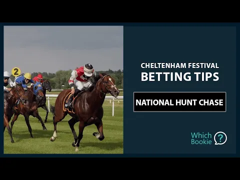 National Hunt Novices' Handicap Chase at Cheltenham Festival 2025