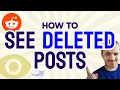 How to SEE Deleted Reddit Posts Step by Step