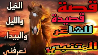 قصة قصيدة المتنبي  الخيل و الليل والبيداء تعرفني  من أجمل القصائد دندنها