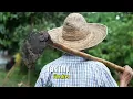 Download Lagu Nelongso - Sonny Josz Lyric Video | English Translation