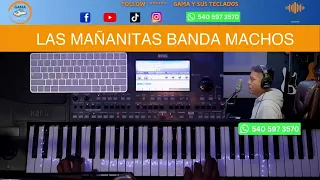 las ma anitas banda machos ritmos korg pa