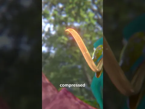 How A Hummingbird's Tongue Works 🤔