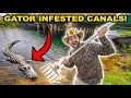 HAND-SPEARING in GATOR INFESTED Canals Restaurant Cooks our Catch