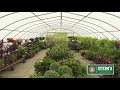 Stein s Garden Home Experience The Season