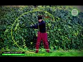 Jsims Swing Tracer - OpenCV