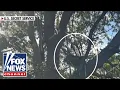 Download Lagu BREAKING: Hunting stand found with line of sight to Air Force One