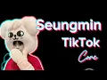 Download Lagu Seungmin TikTok Core🐶